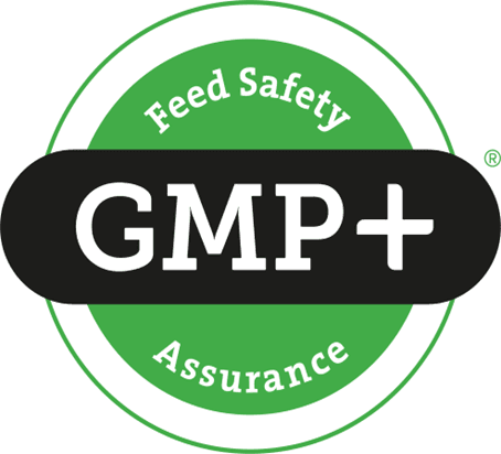GMP
