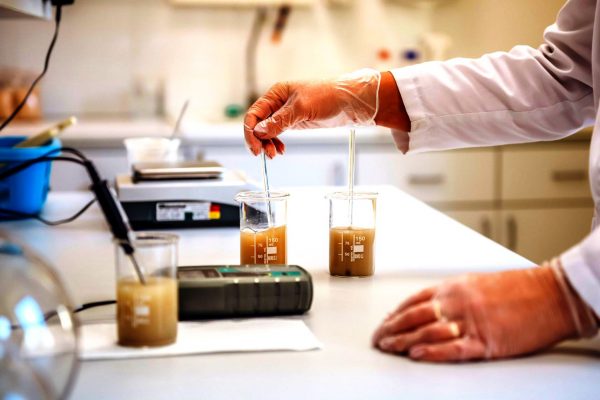 Brewers Yeast Ekoprodukas